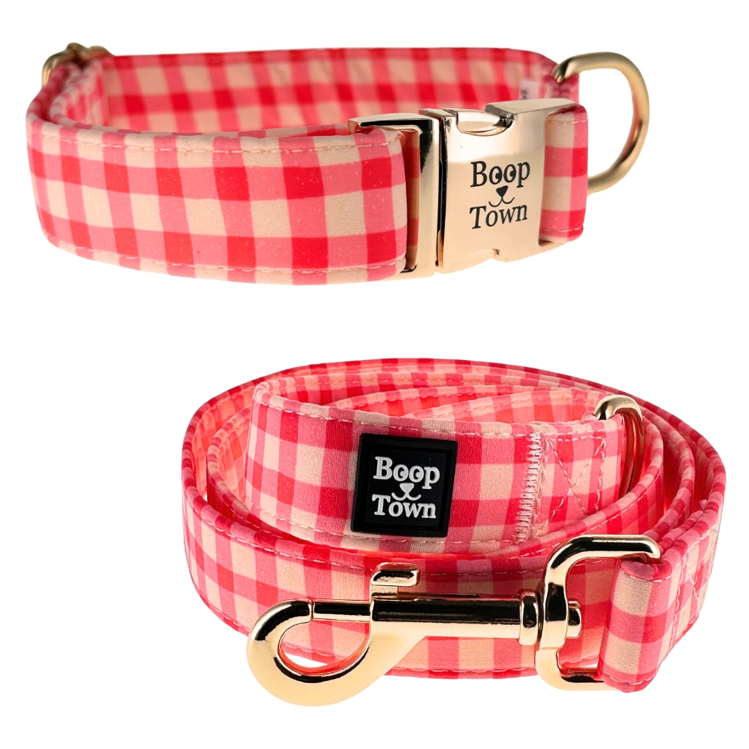 Ensembles collier et laisse pour chien