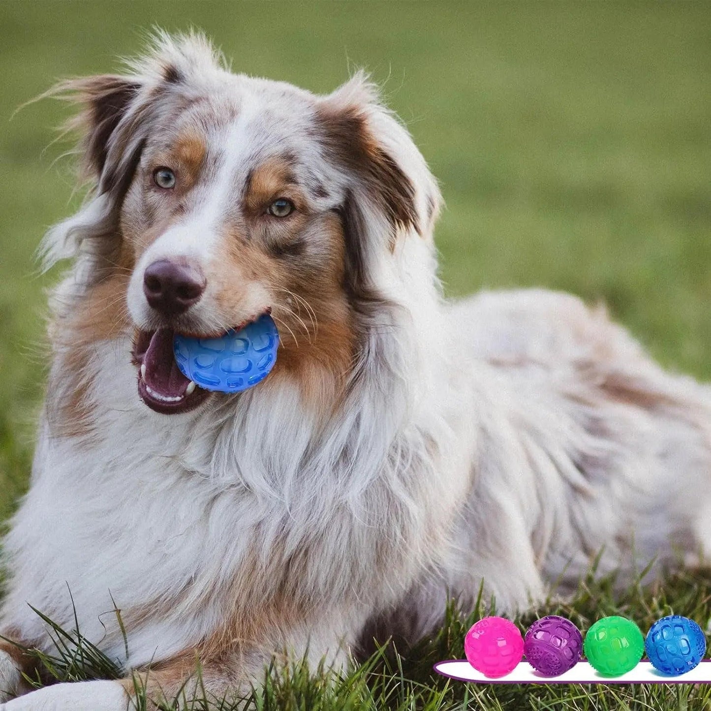 Pelotas de juguete chirriantes de 7,6 cm para perros de razas grandes y medianas. Son indestructibles para jugar, buscar y recuperar. Son resistentes y masticables. 2 unidades, color azul.