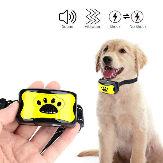 Collier anti-aboiement rechargeable pour chien