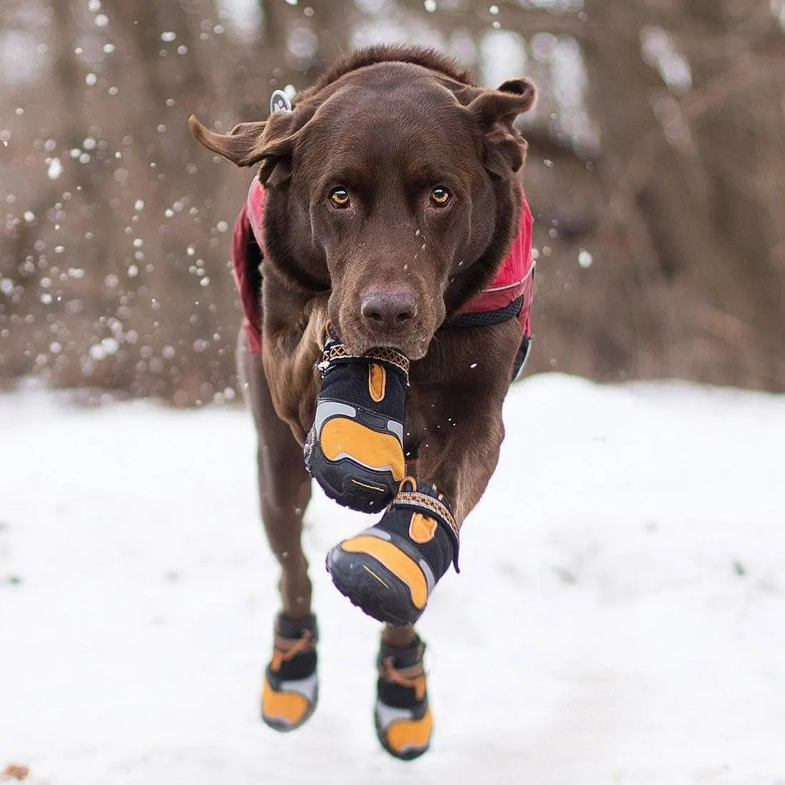 Step N' Strobe Dog Shoes - Water Resistant Dog Boots for All Seasons - Anti-Slip Protective Dog Footwear - LED Light up Soles - Reflective High Visibility Footwear - Set of 4 - X-Large