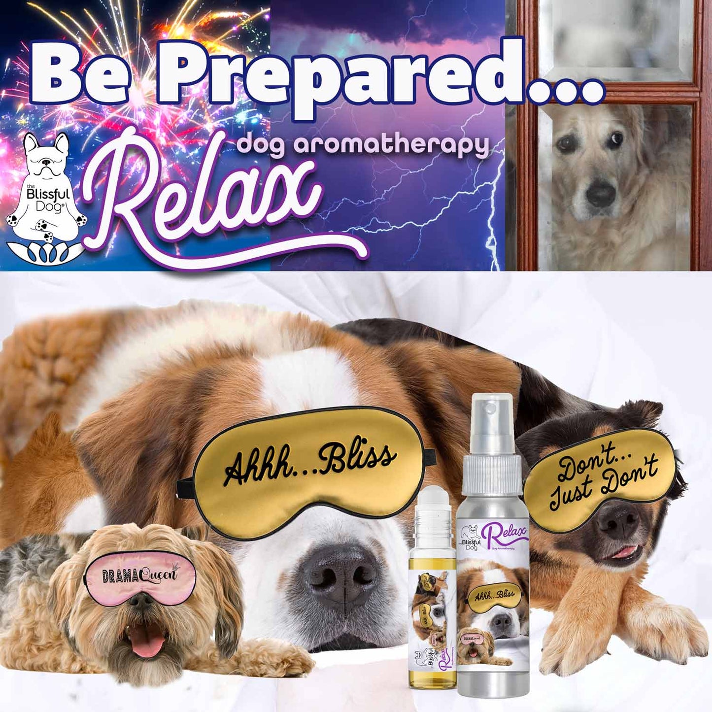 Aromaterapia relajante para perros con 3 cachorros adorables 