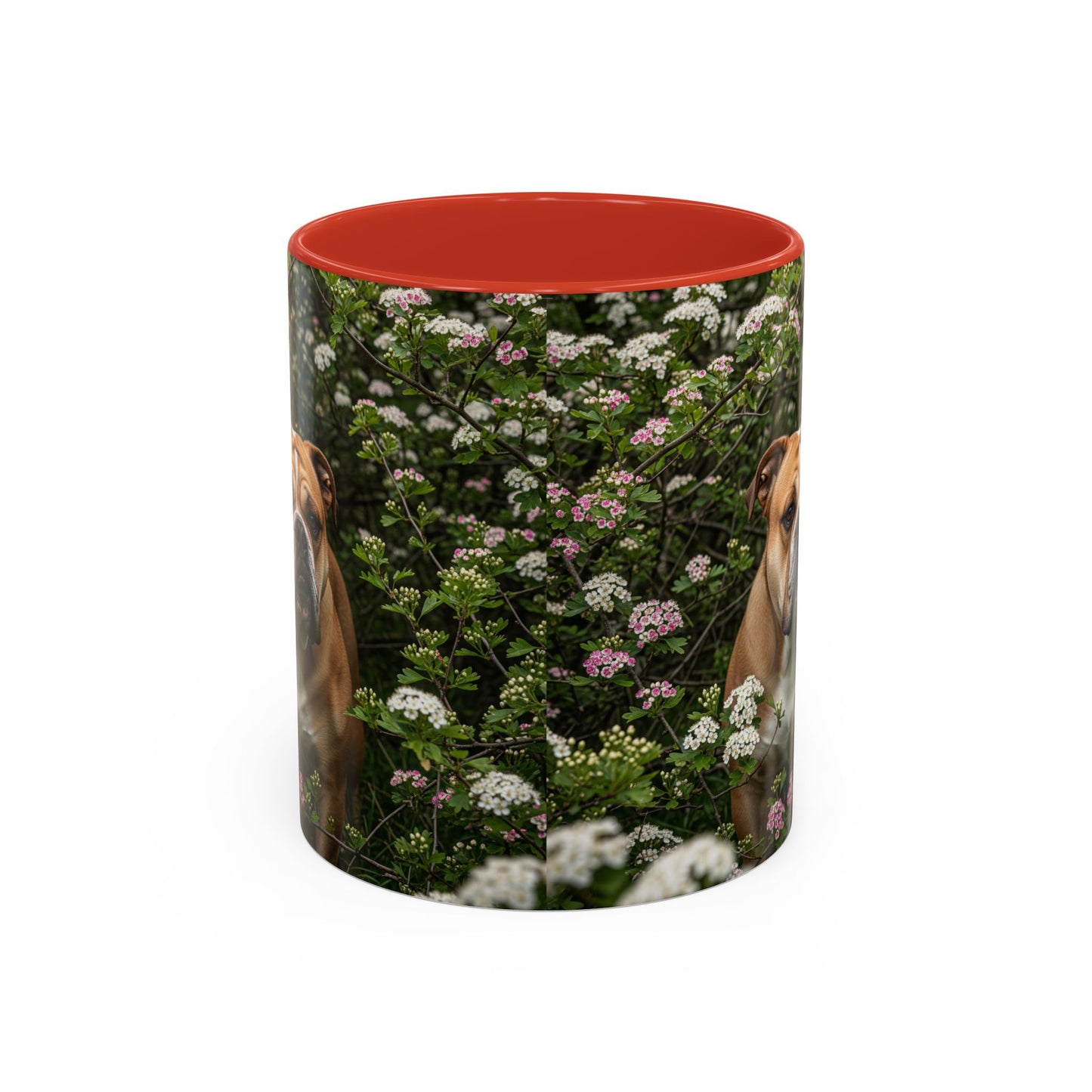 Mug à café Olde English Bulldogge Accent - Cadeau idéal pour les amoureux des chiens