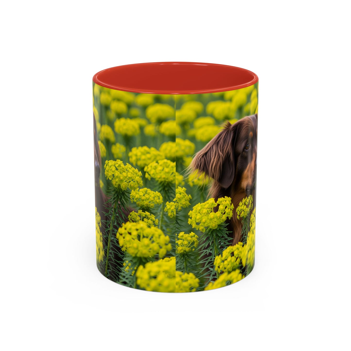 Hovawart Accent Coffee Mug - Perfect Gift for Dog Lovers