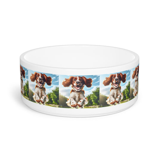 Welsh Springer Spaniel Pet Bowl