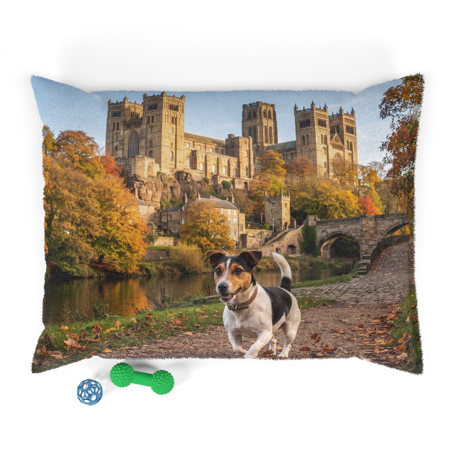 Jack Russell Terrier Pet Bed