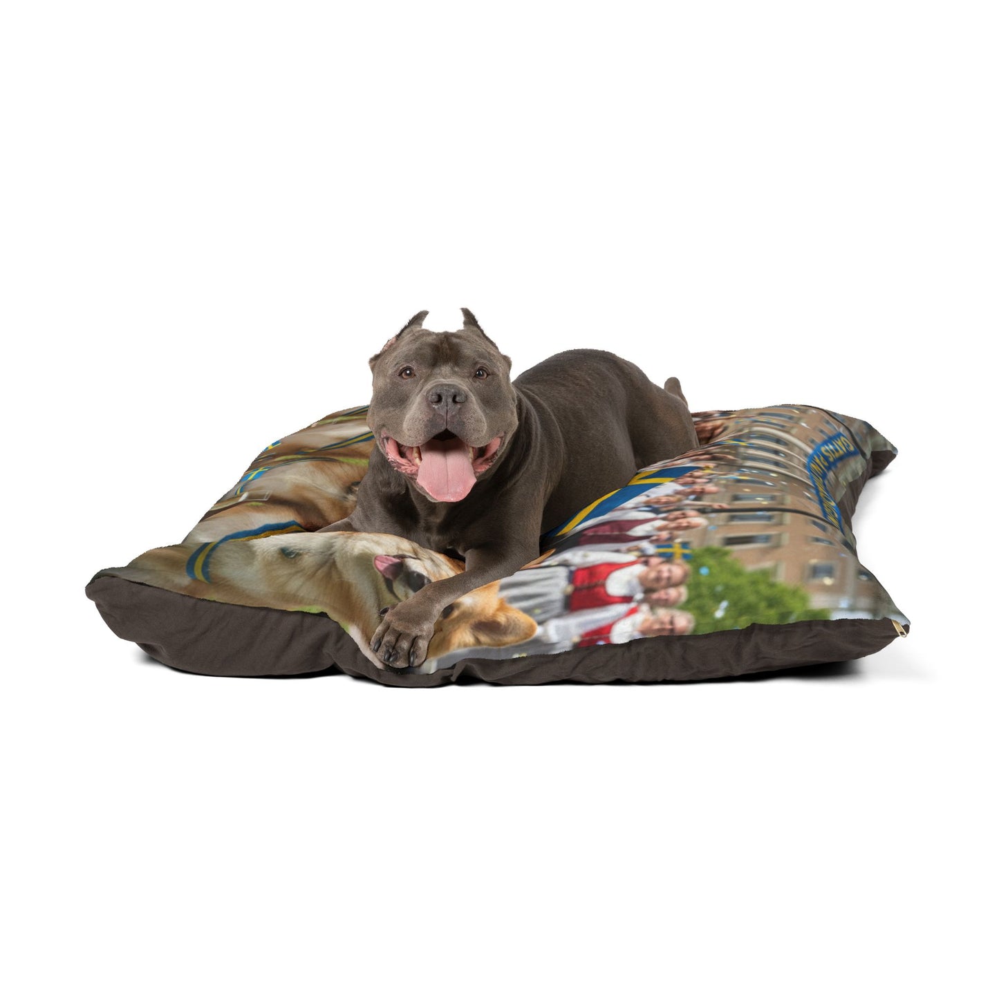 Swedish Vallhund Pet Bed