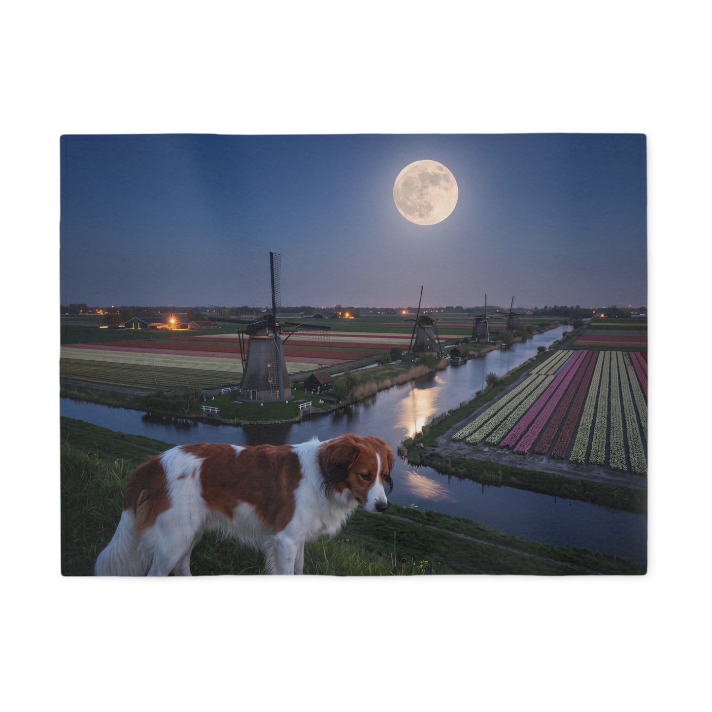 Nederlandse Kooikerhondje Blanket