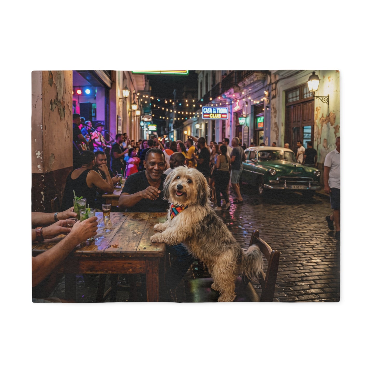 Havanese Blanket