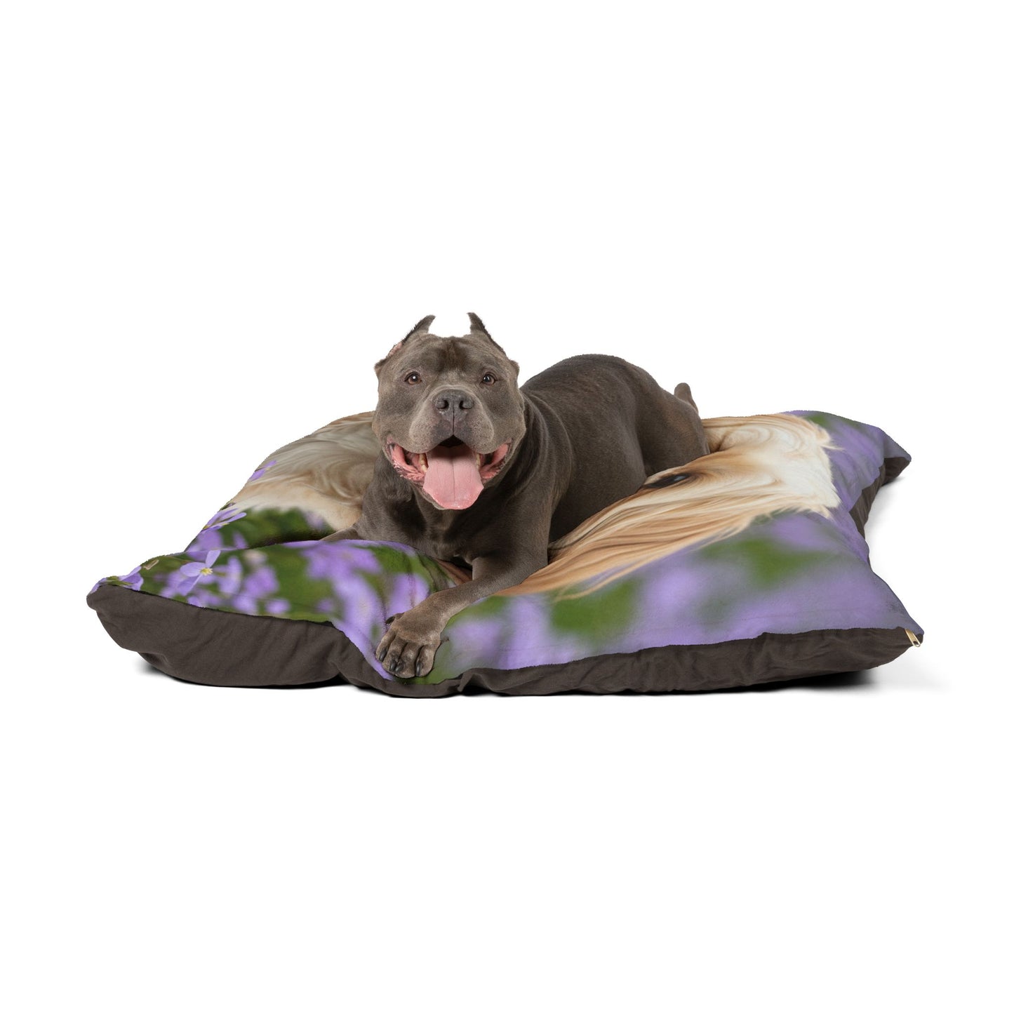 Cama para mascotas Shih-poo