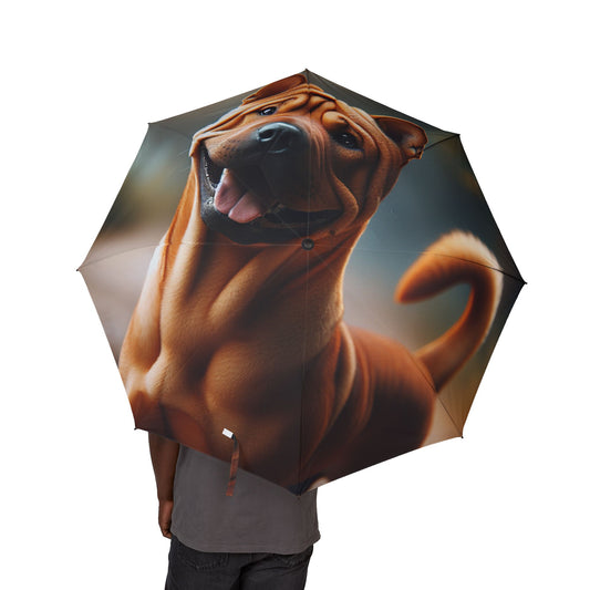 Chinese Chongqing Semi-Automatic Foldable Umbrella