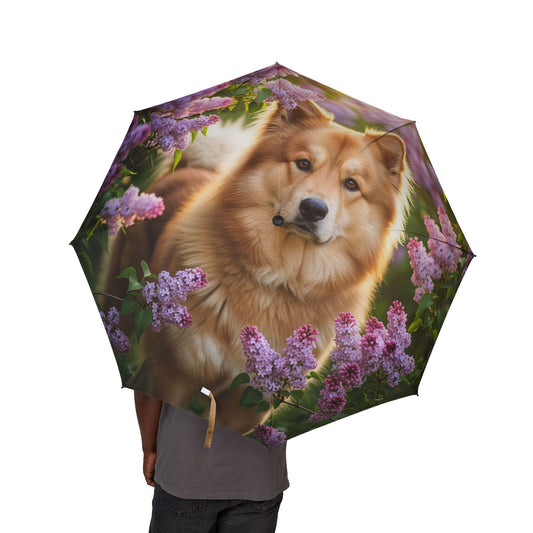 Chinook Semi-Automatic Foldable Umbrella