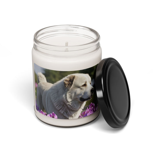 Bougie parfumée au berger du Caucase (255 g) à la cire de soja 