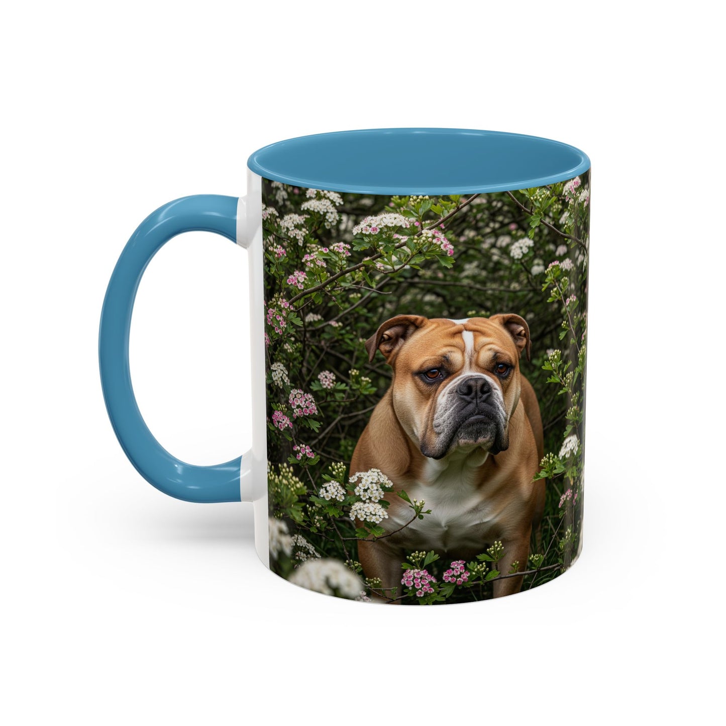 Mug à café Olde English Bulldogge Accent - Cadeau idéal pour les amoureux des chiens