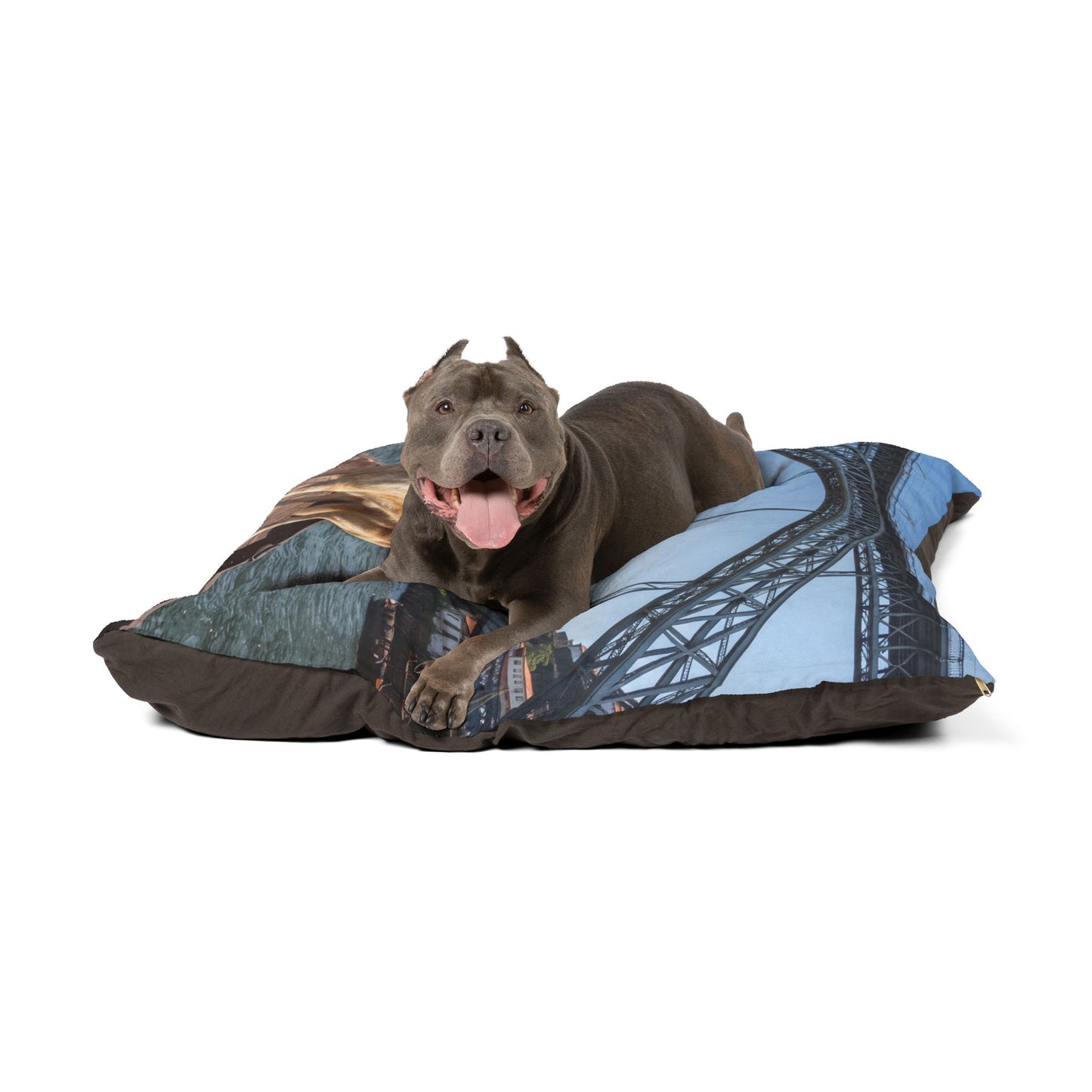 Rafeiro do Alentejo Pet Bed