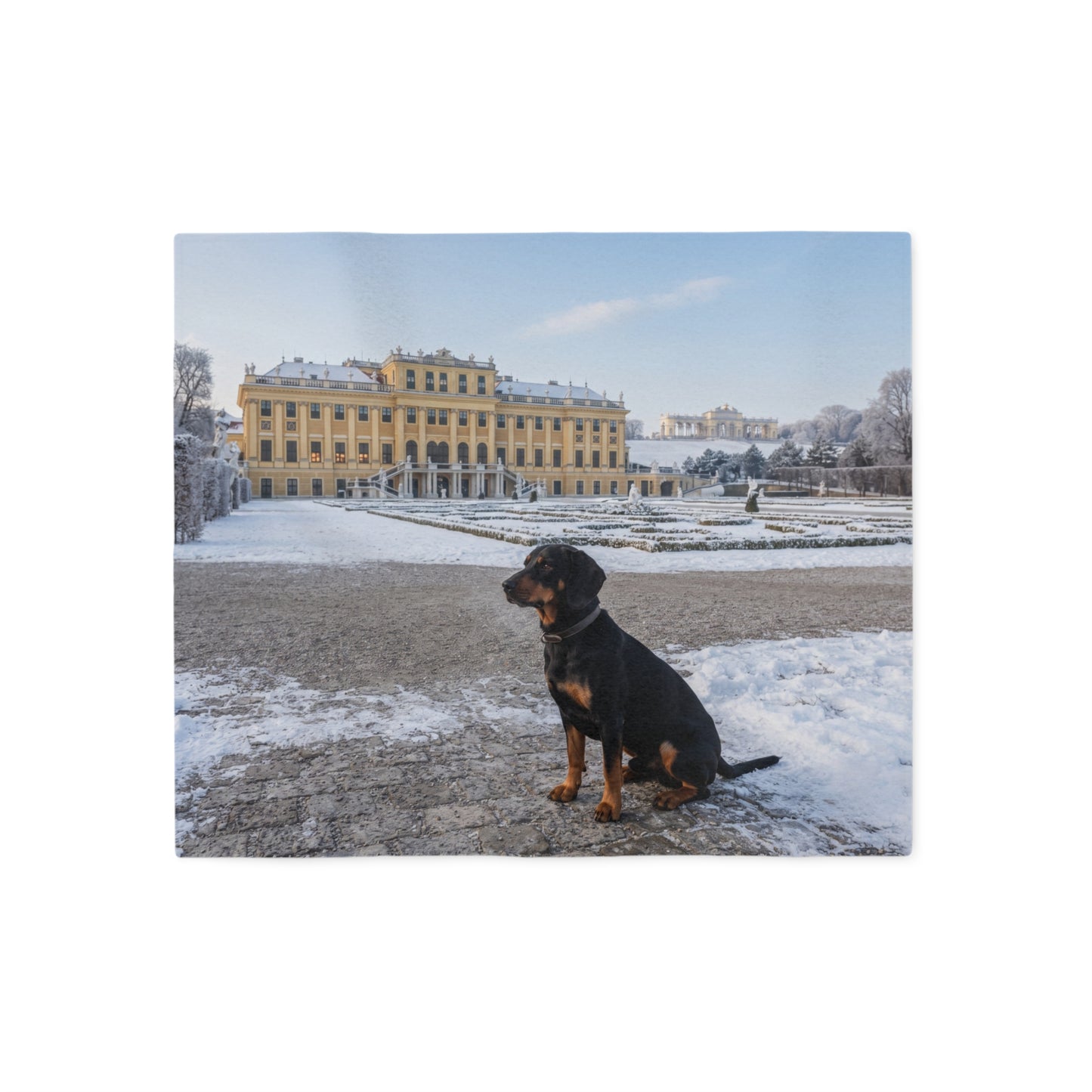 Austrian Black and Tan Hound Blanket