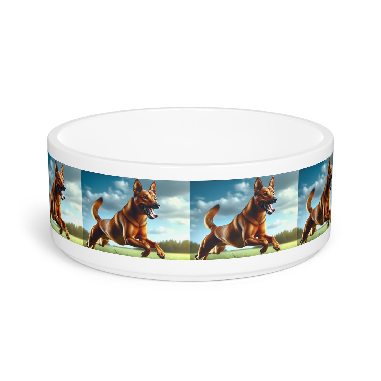 Kanni Pet Bowl