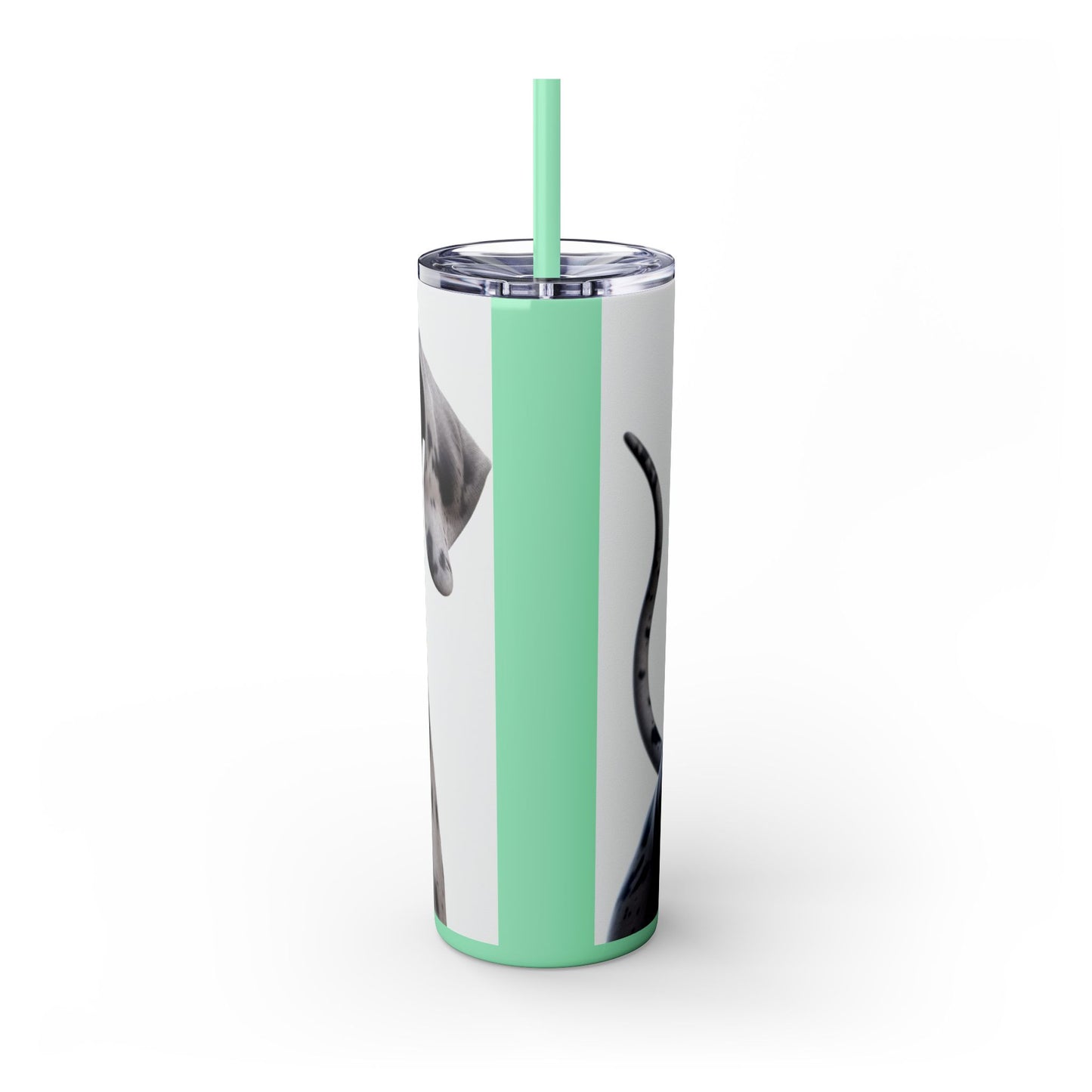 Great Dane Tumbler with Straw, 20oz