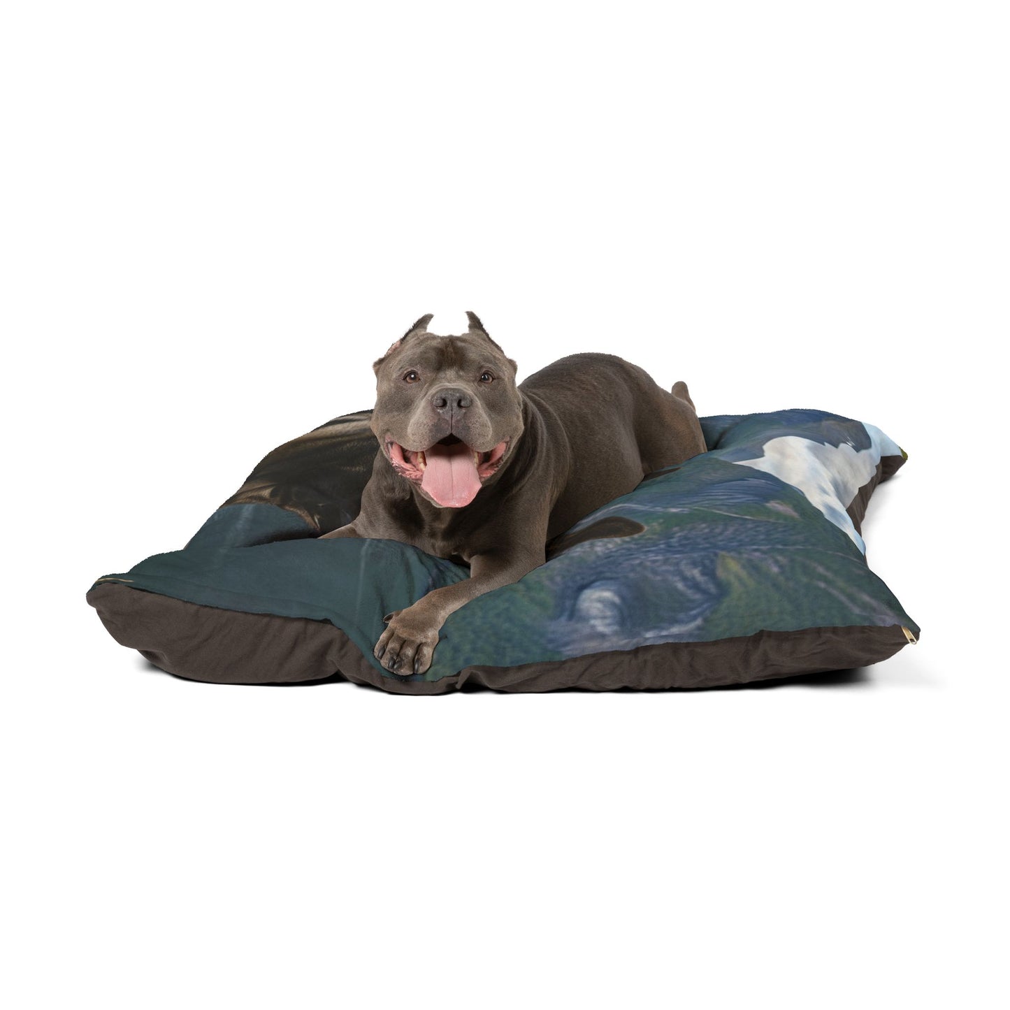 Norwegian Elkhound Pet Bed