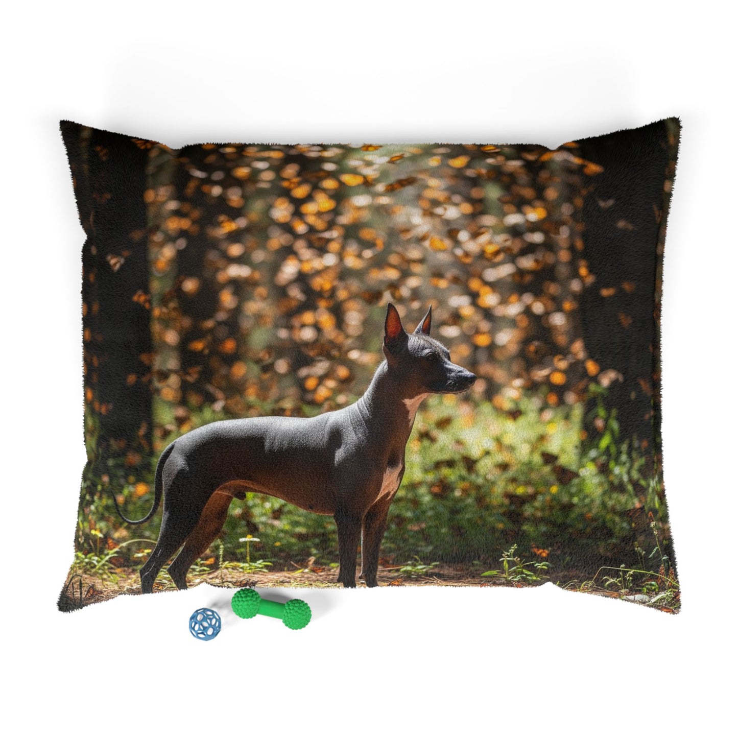Xoloitzcuintli Pet Bed