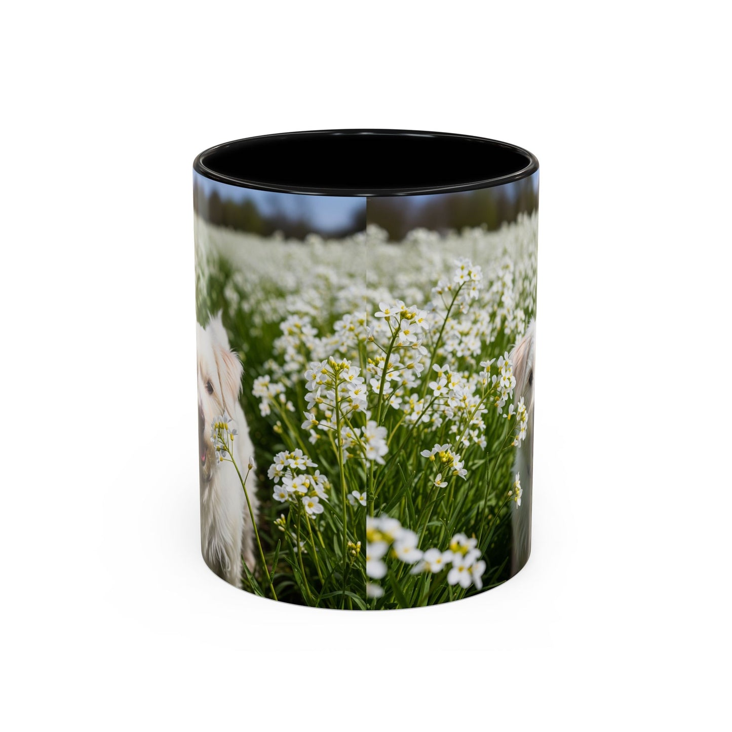 Taza de café con acento Kromfohrlander: el regalo perfecto para los amantes de los perros