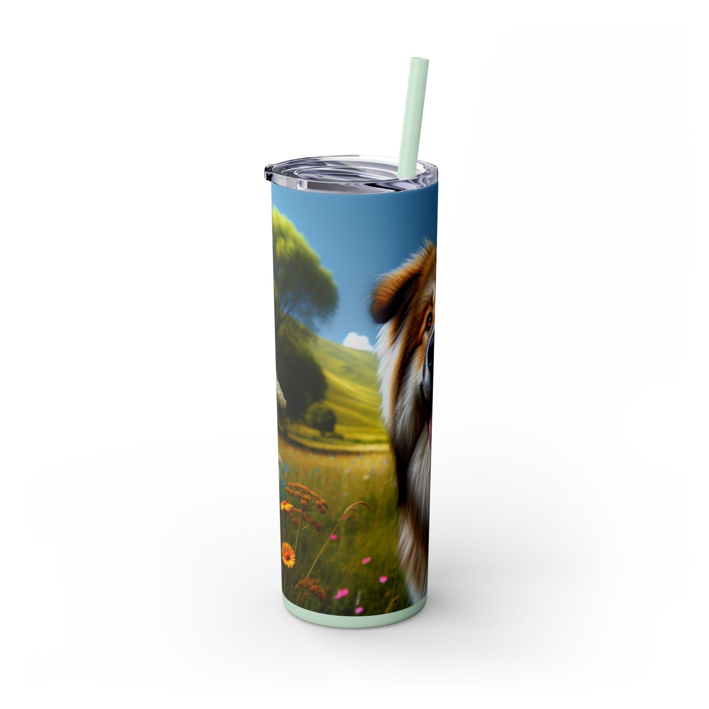Bakharwal Tumbler with Straw, 20oz