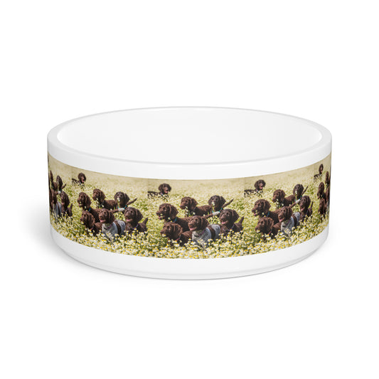 Pudelpointer Pet Bowl