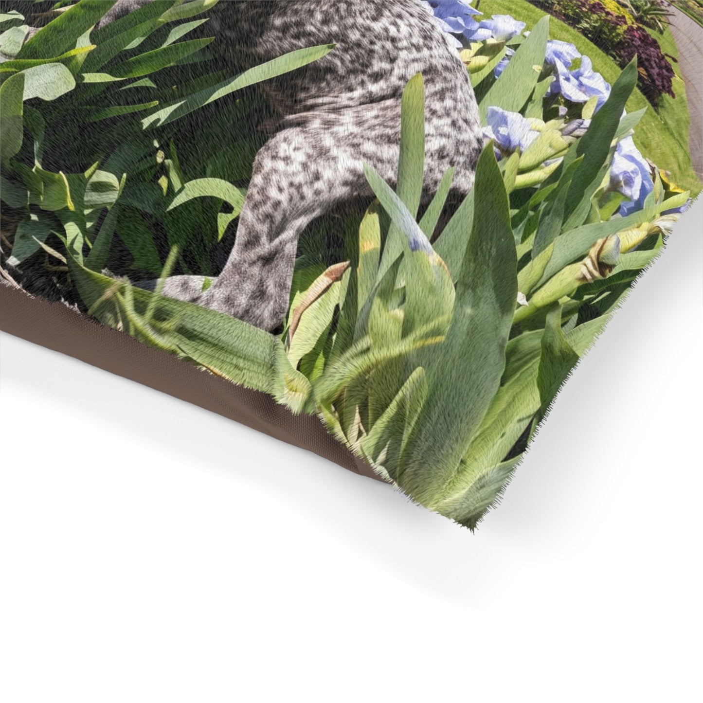 Pointer Dog Pet Bed
