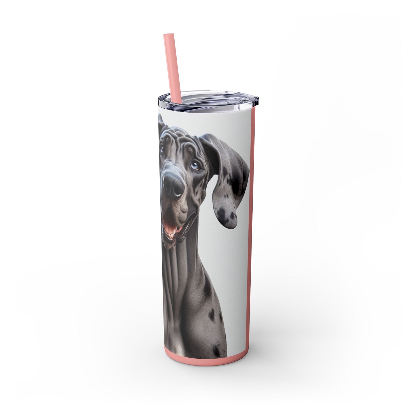 Great Dane Tumbler with Straw, 20oz