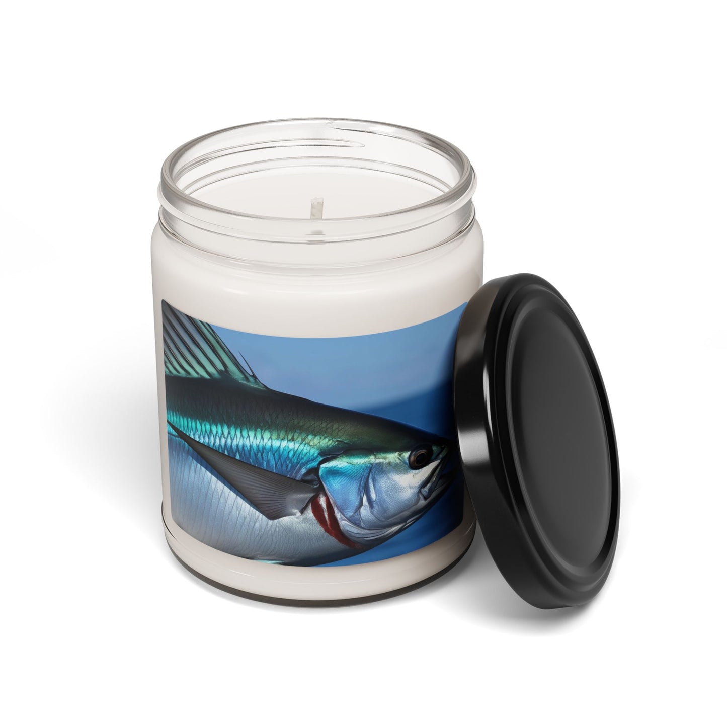 Close Up of a Sailfish's Fin- Scented Soy Candle, 9oz