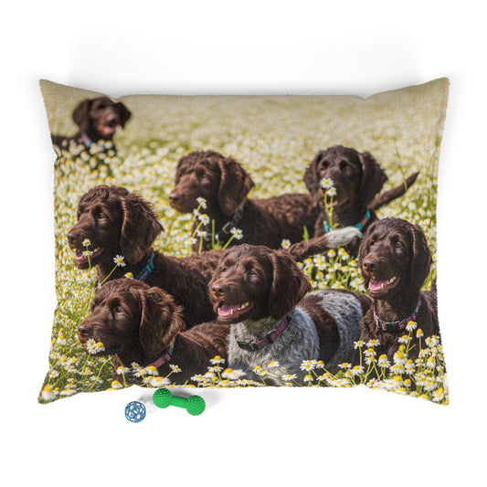 Pudelpointer Pet Bed