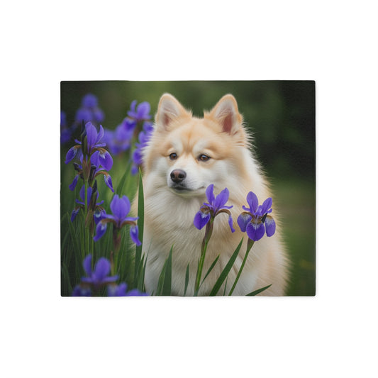 Pomsky Sweatshirt Blanket