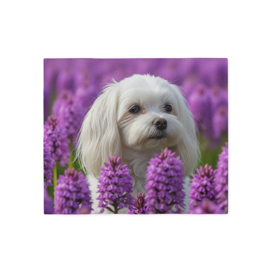 Maltese Sweatshirt Blanket