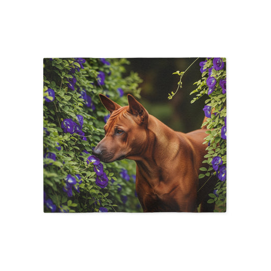Thai Ridgeback Sweatshirt Blanket