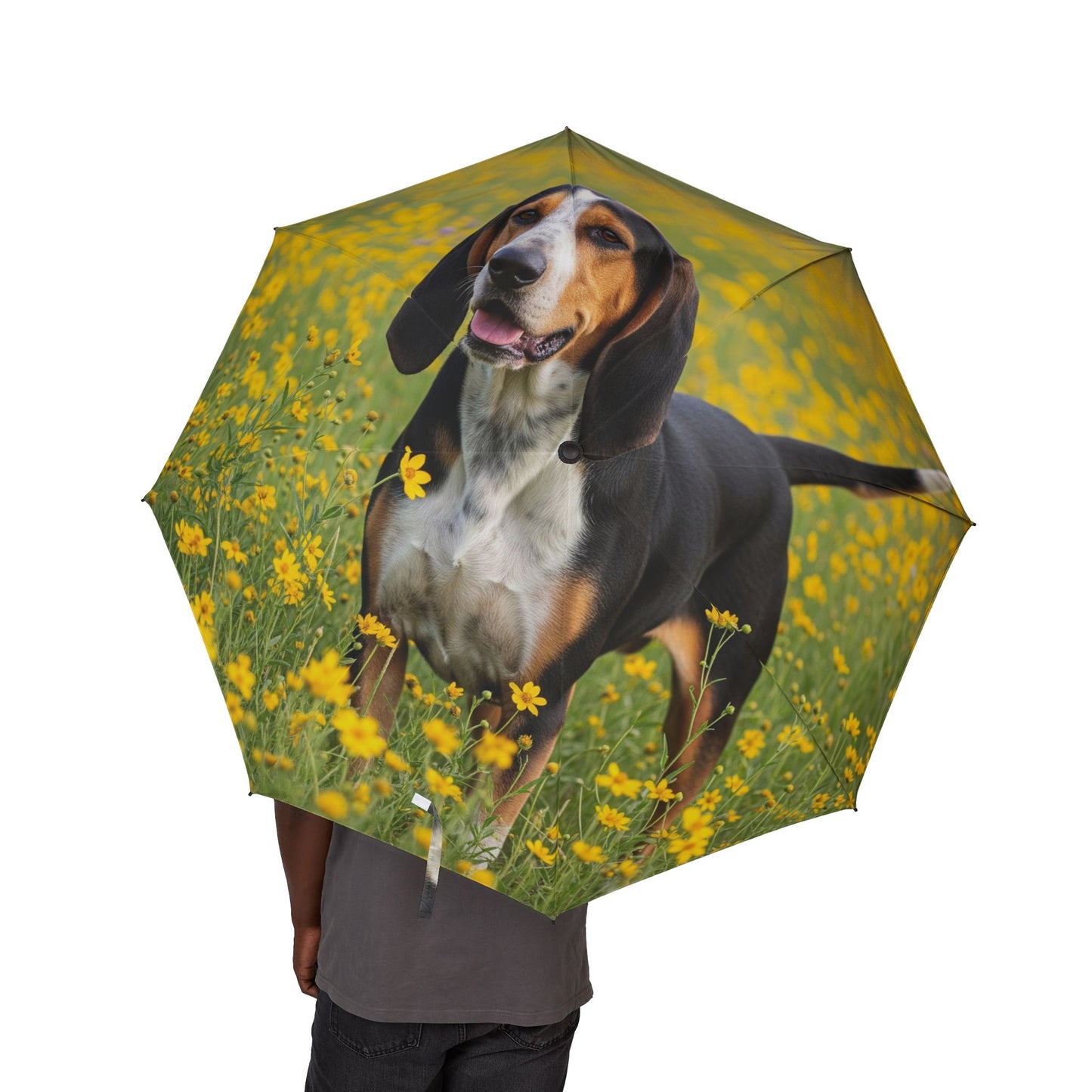 American English Coonhound Semi-Automatic Foldable Umbrella