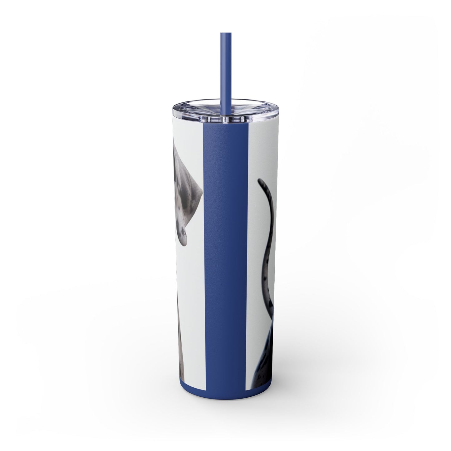 Great Dane Tumbler with Straw, 20oz