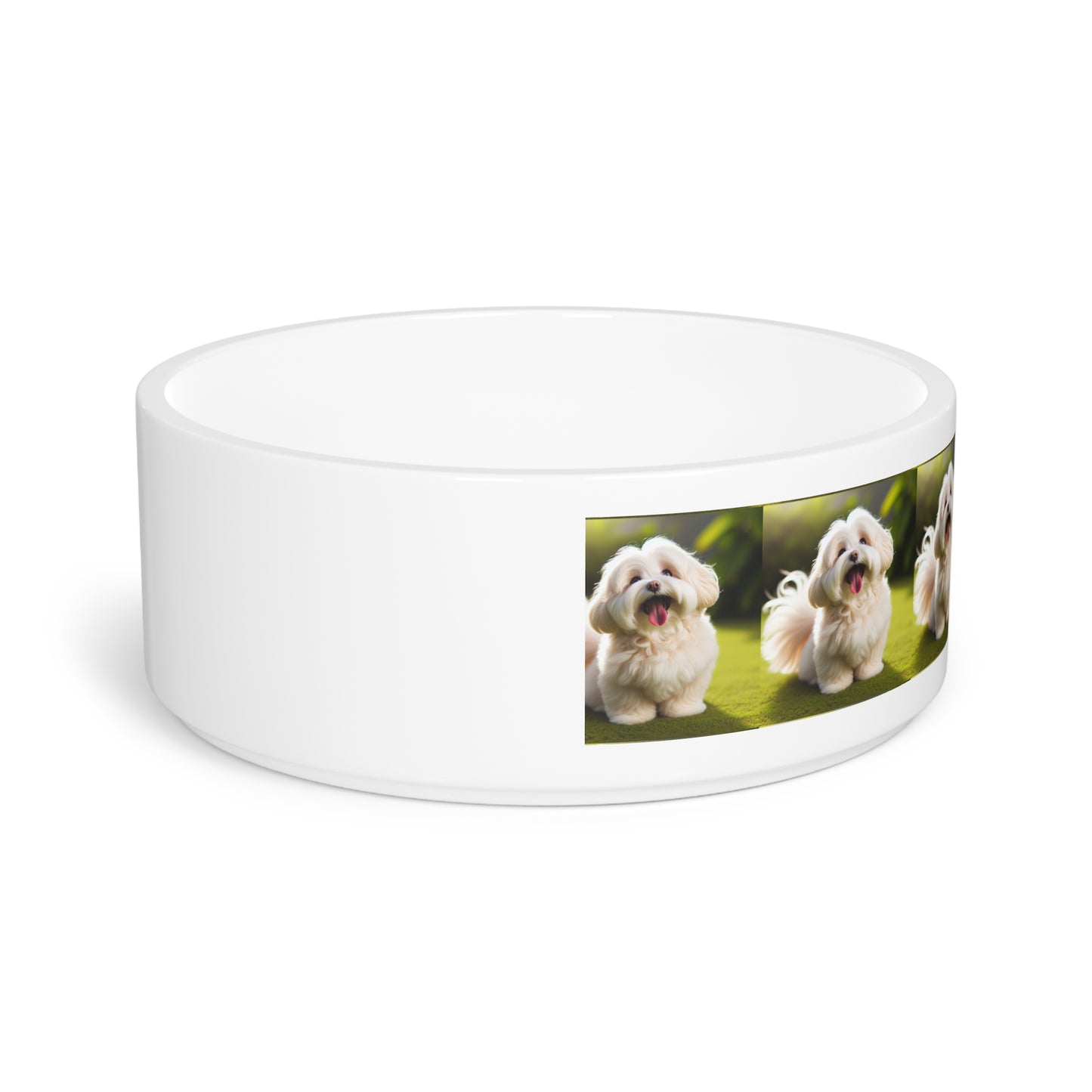 Tazón para mascotas Havanese