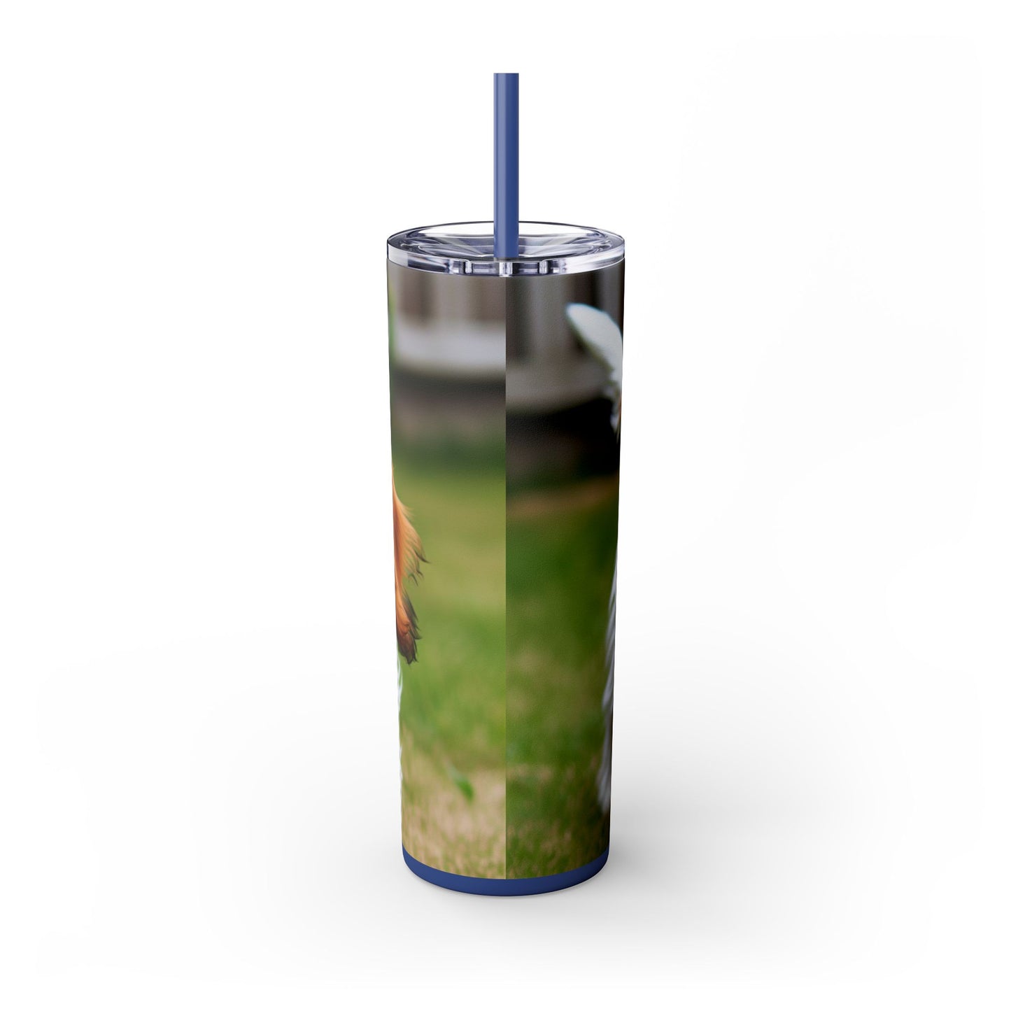 Petit Basset Griffon Vendeen Skinny Tumbler with Straw, 20oz