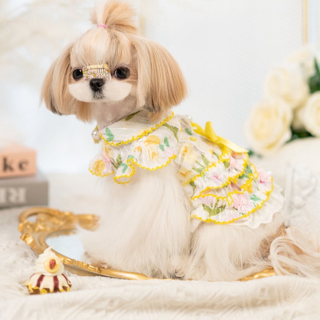 Floral Lace Dog Dress | Cottagecore Pet Princess Dress with Bow & Pearl Buttons