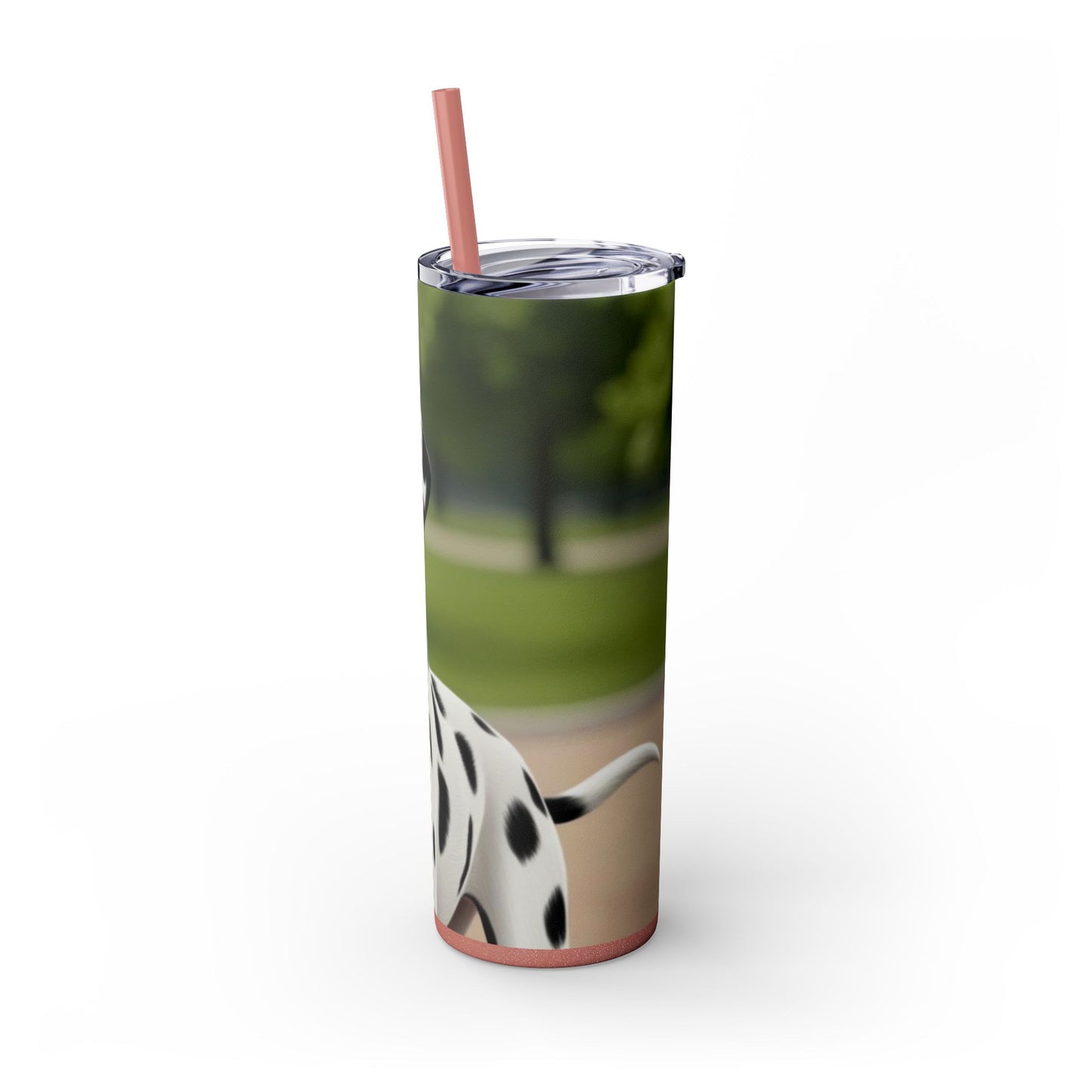 Skinny Tumbler with Straw – 20 oz Stainless Steel Cup
