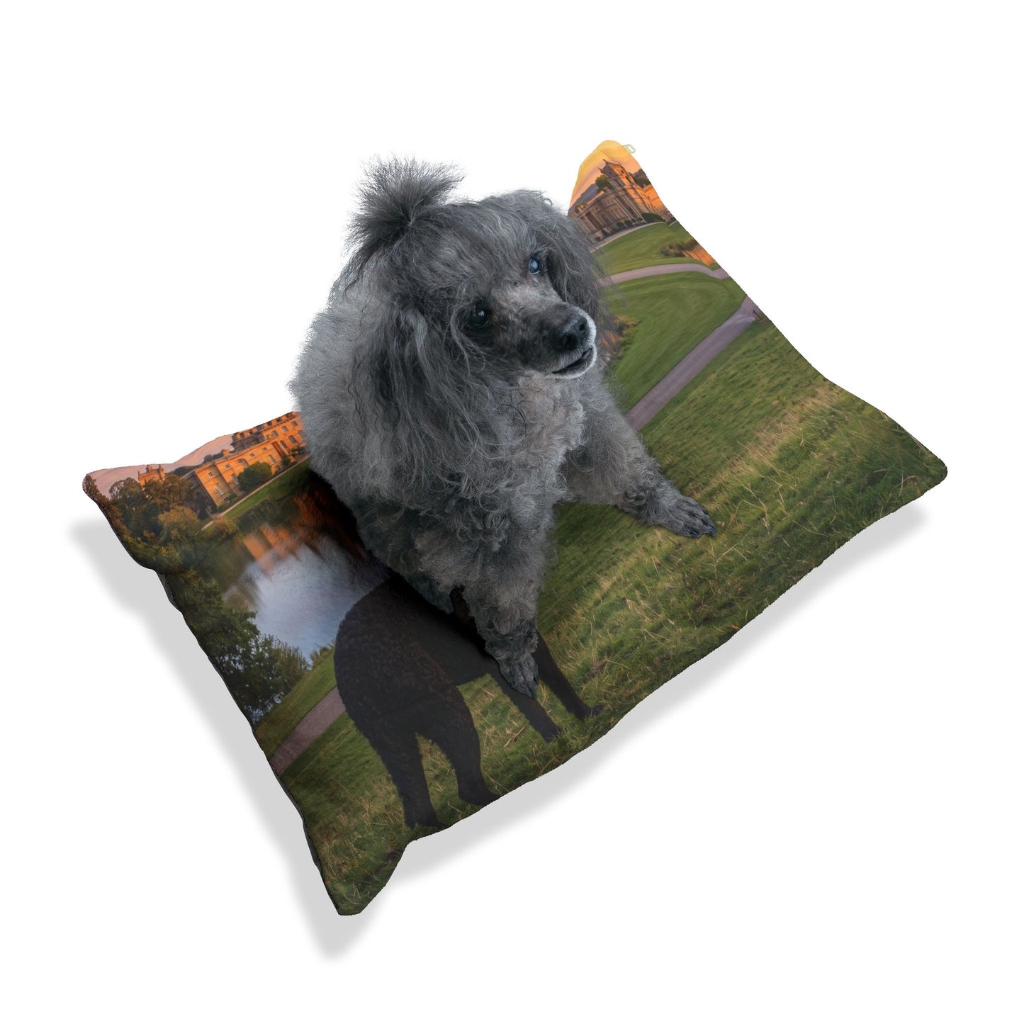 Curly Coated Retriever Pet Bed
