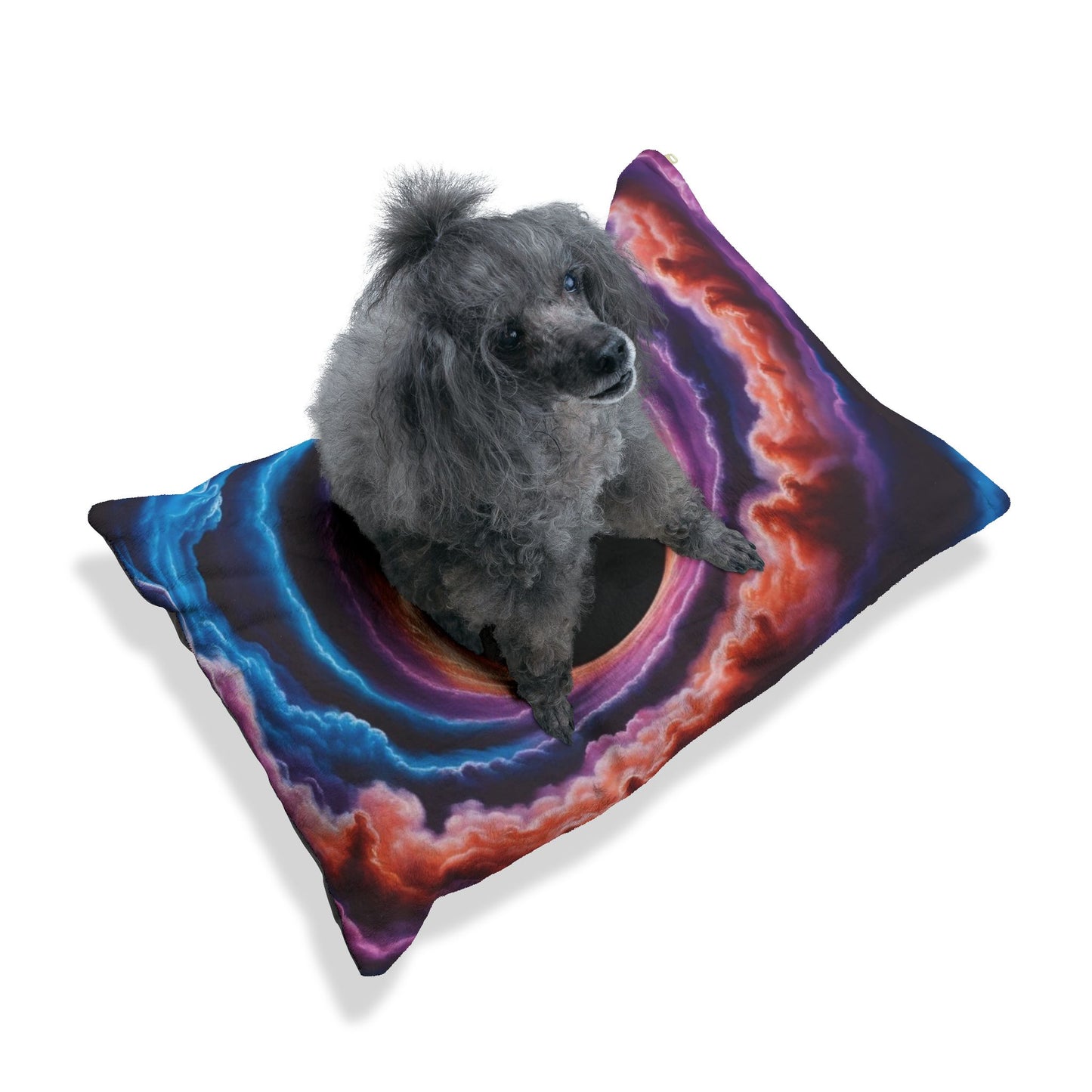 Optical Illusion Pet Bed