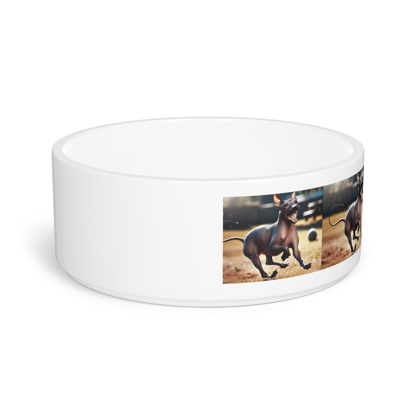 American Hairless Terrier Pet Bowl