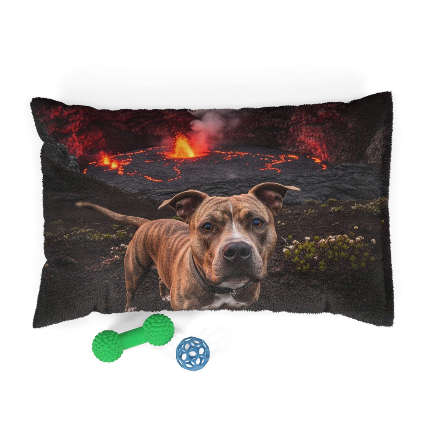 Pit Bull Pet Bed