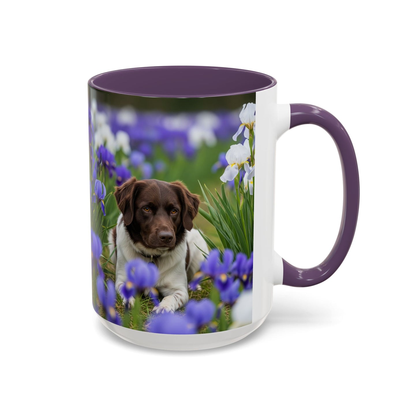 Mug Stabyhouns Accent - Cadeau idéal pour les amoureux des chiens
