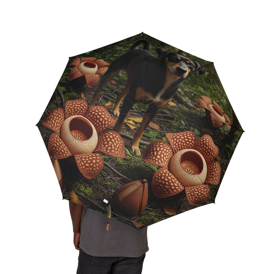 Telomian Semi-Automatic Foldable Umbrella