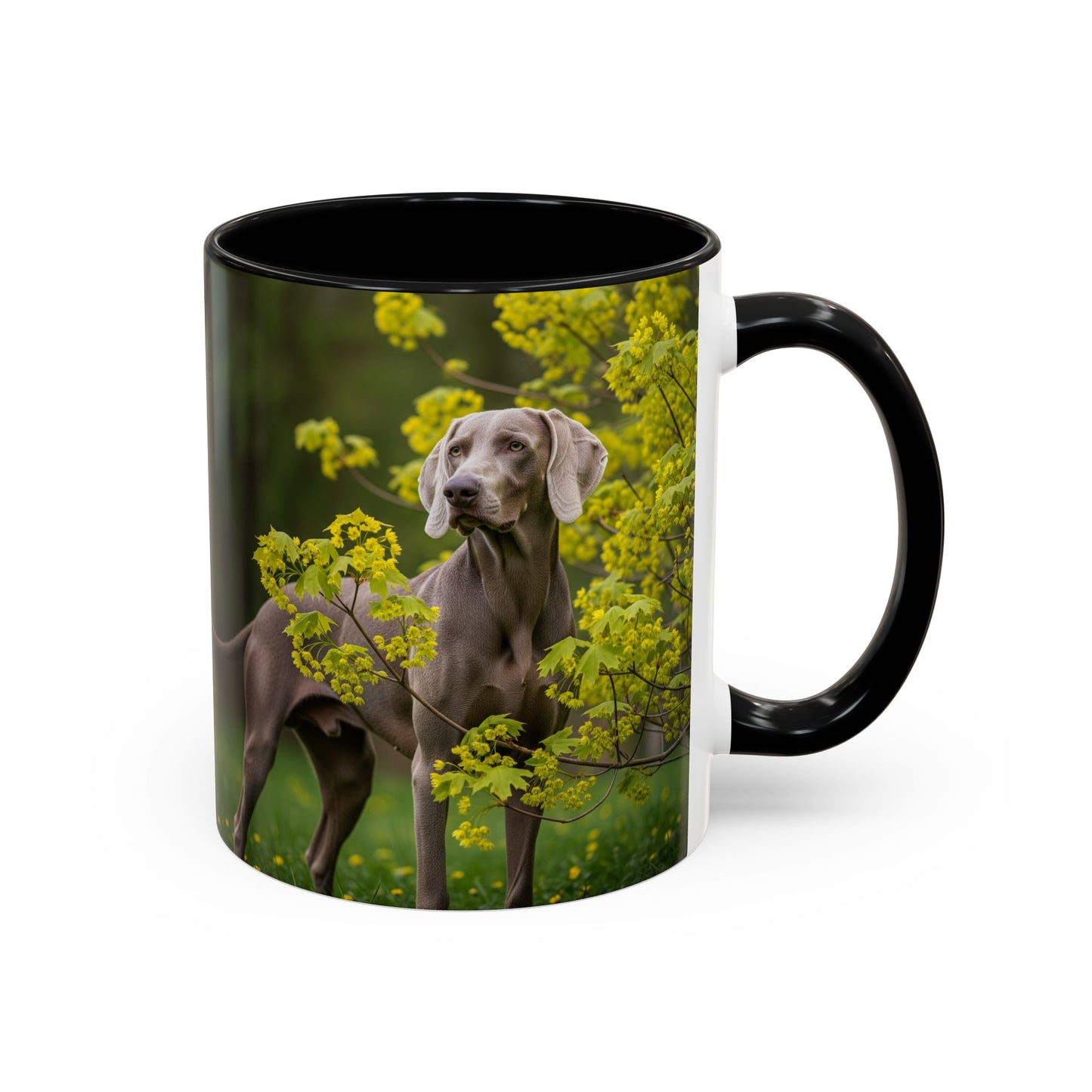 Weimaraner Accent Coffee Mug - Perfect Gift for Dog Lovers