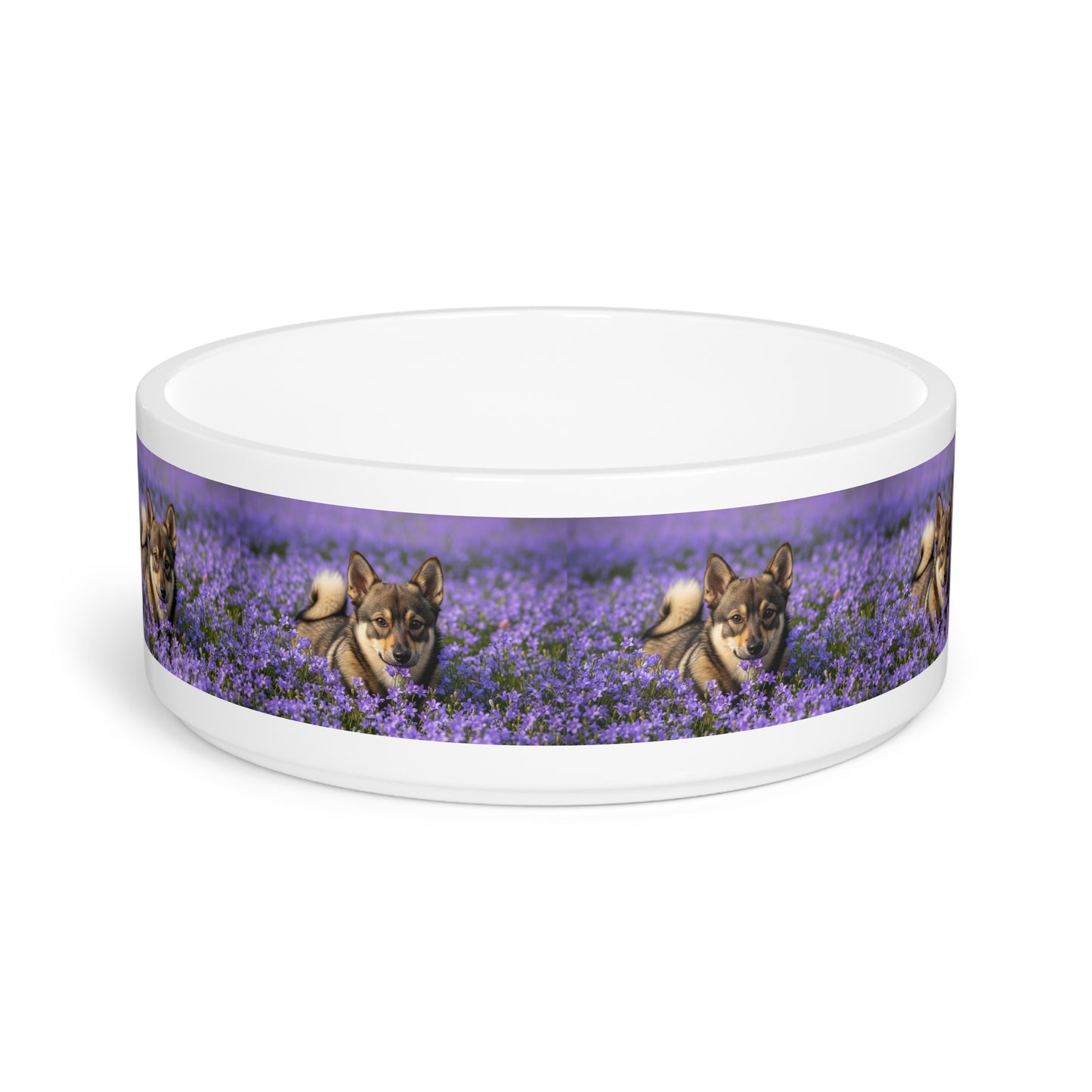 Swedish Vallhund Pet Bowl