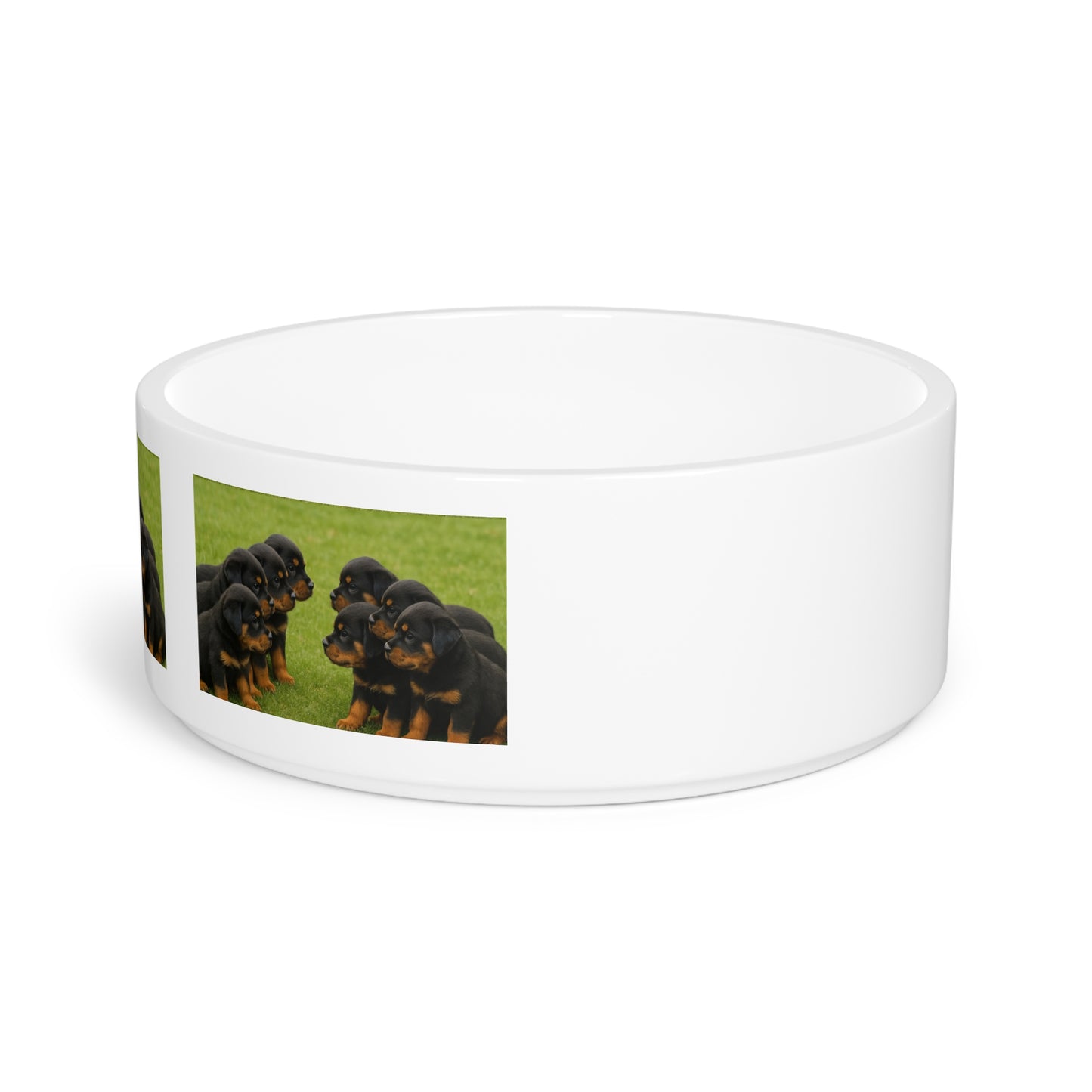 Chiots Rottweilers Gamelle pour animaux