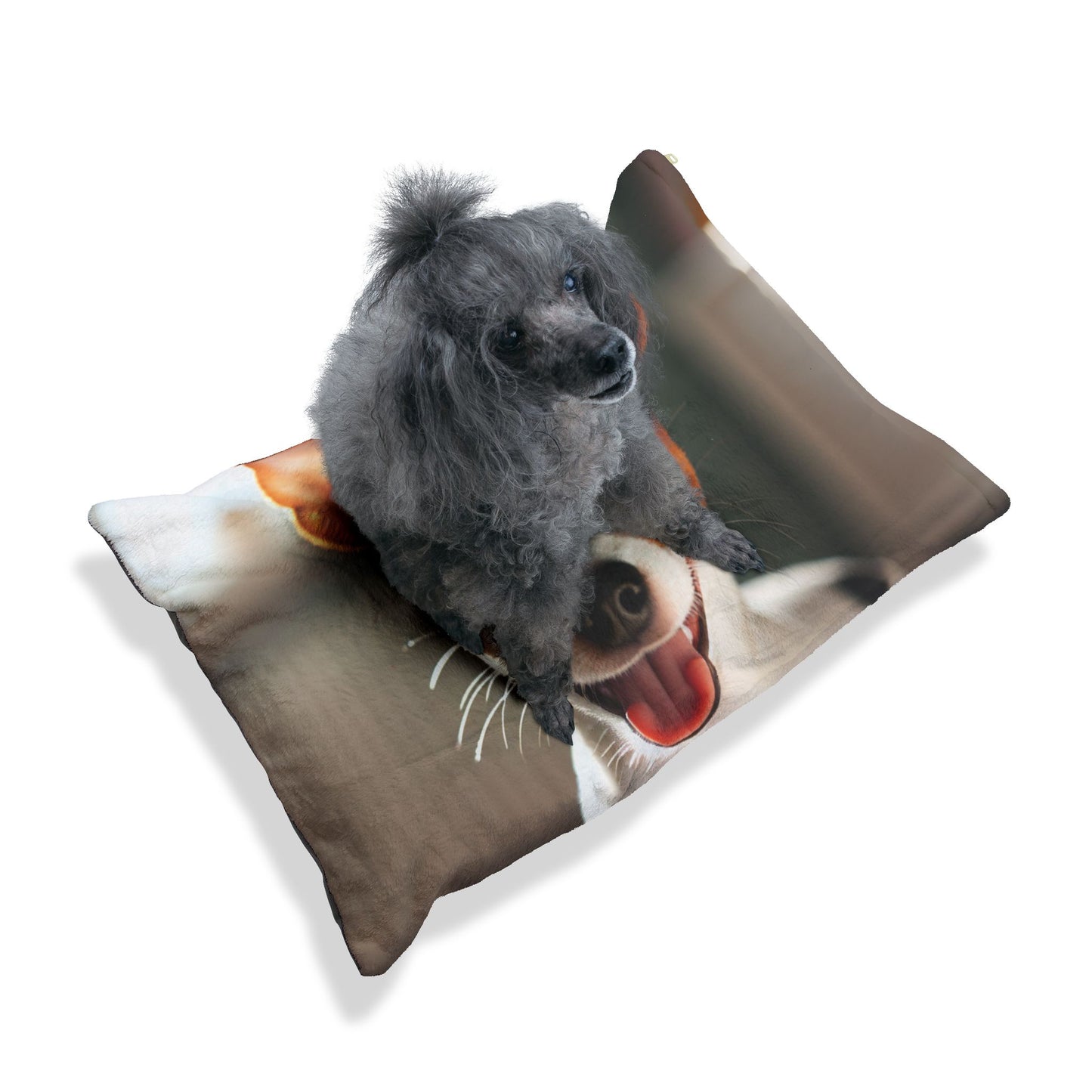 Toy Fox Terrier Pet Bed