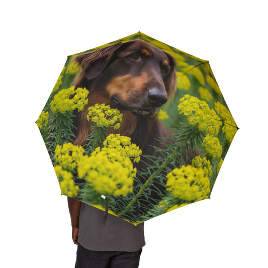 Hovawart Semi-Automatic Foldable Umbrella